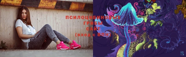 СК Гусиноозёрск