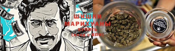 гашик Дмитриев